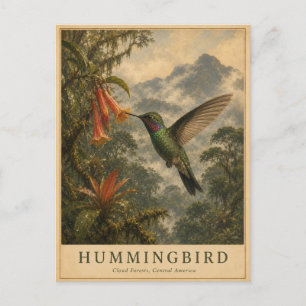 Carte Postale Forêt de nuages colibri VINTAGE