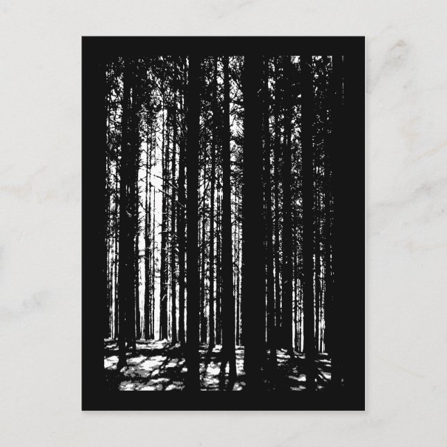 Carte Postale forêt de pins (Devant)