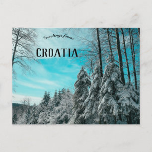 Carte Postale Forêt De Pins Couverte Dans La Planche Des Neiges