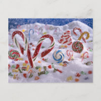 Forêt de sucre de canne