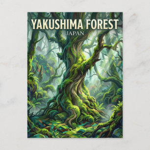 Carte Postale Forêt de Yakushima Japon