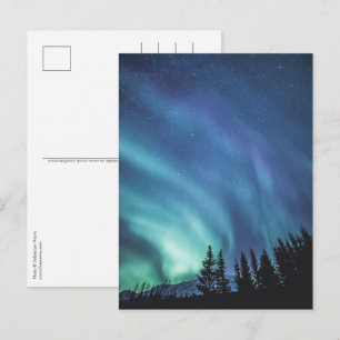 Carte Postale Forêt des Lumières du Nord