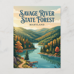 Carte Postale Forêt d'État de Savage River Maryland