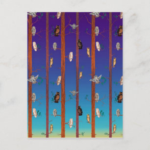 Carte Postale Forêt d'hibou