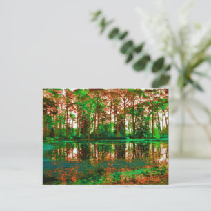 Carte Postale Forêt d'Imaginaires par Shirley Taylor