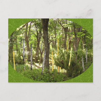 Carte Postale Forêt d'Oboe