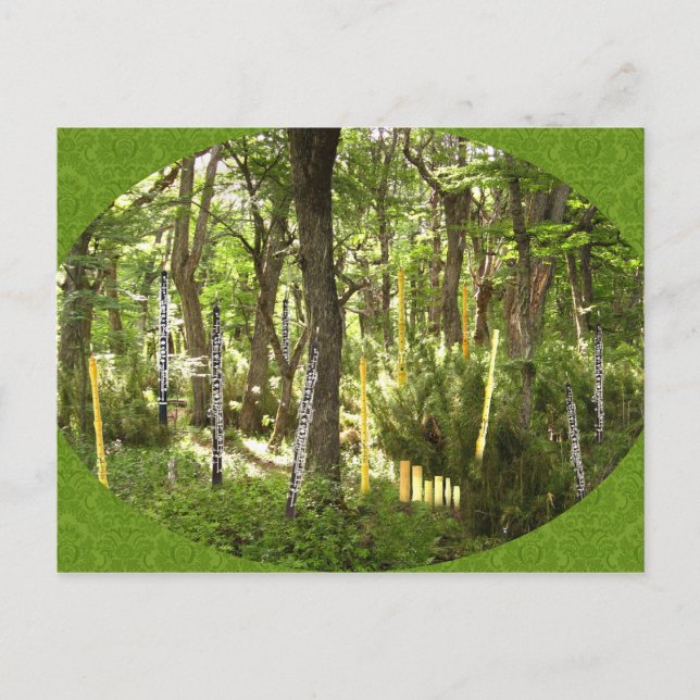 Carte Postale Forêt d'Oboe (Devant)