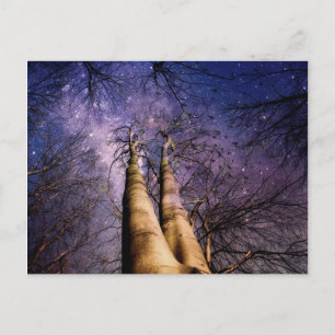 Carte Postale Forêt enchantée