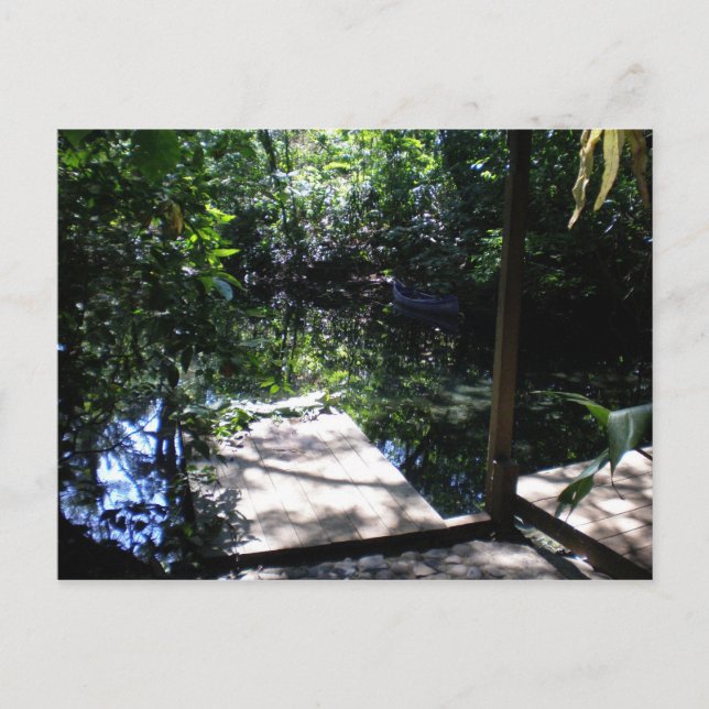 Carte Postale Forêt forestière (Devant)