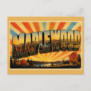 Carte Postale Forêt glaciaire du lac de Maplewood Minnesota Stat