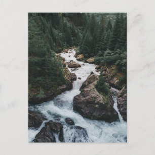 Carte Postale Forêt Grison Graubunden Canton