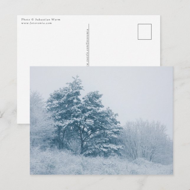 Carte Postale Forêt hiver photo (Devant / Derrière)