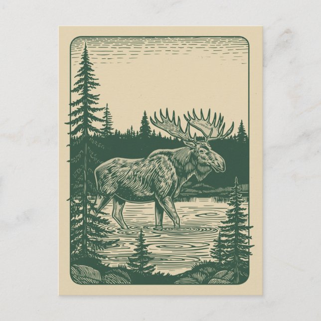 Carte Postale Forêt hivernale Orignal au lac               (Devant)