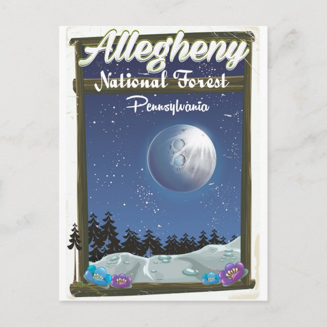 Carte Postale Forêt nationale Allegheny Pennsylvanie (Devant)