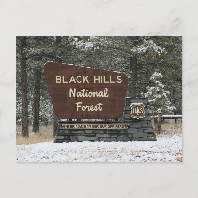 Carte Postale Forêt nationale de Black Hills (Devant)
