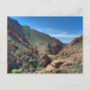 Carte Postale Forêt nationale de Coconino