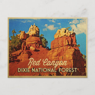 Carte Postale Forêt nationale de Dixie