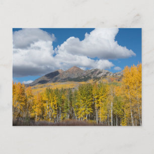 Carte Postale Forêt nationale de Gunnison, Colorado