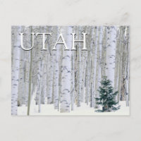 Forêt nationale de Manti-LaSal, Utah | Joyeux Anni