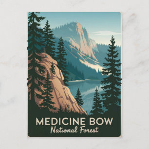 Carte Postale Forêt nationale de Medicine Bow Vintage