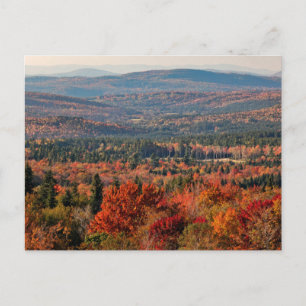 Carte Postale Forêt nationale de White Mountains   New Hampshire