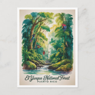 Carte Postale Forêt nationale d'El Yunque Porto Rico