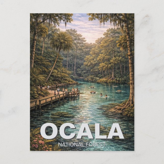 Carte Postale Forêt nationale d'Ocala, Floride, voyage (Devant)
