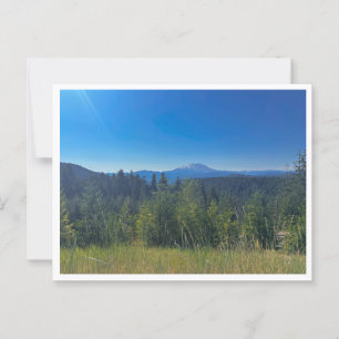 Carte Postale Forêt nationale Gifford Pinchot