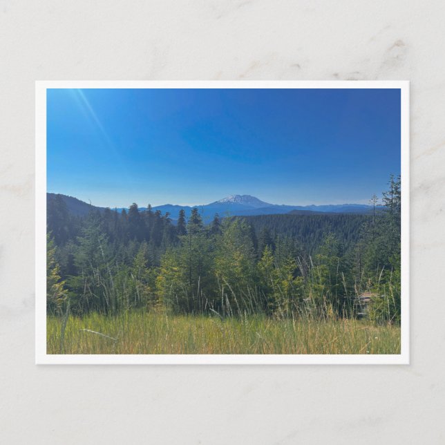 Carte Postale Forêt nationale Gifford Pinchot (Devant)