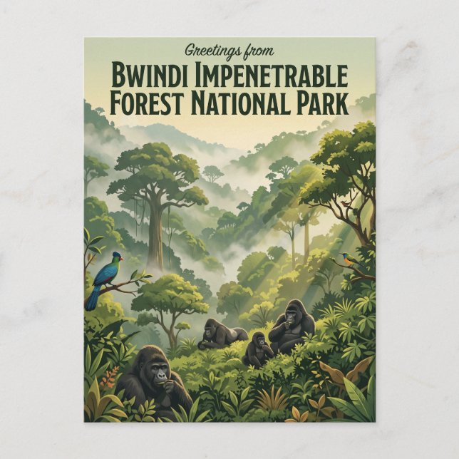 Carte Postale Forêt nationale impenetrable de Bwindi Ouganda (Devant)