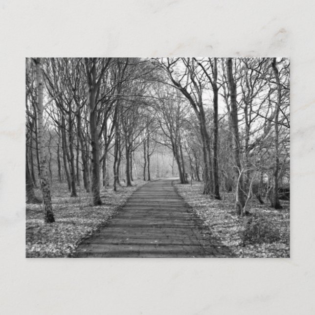 Carte Postale Forêt, noir/blanc (Devant)