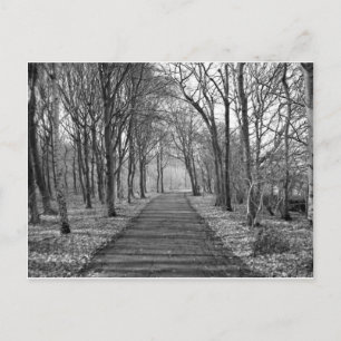 Carte Postale Forêt noire/blanche