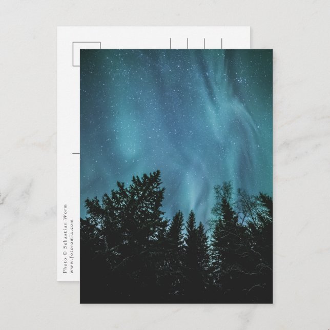 Carte Postale Forêt Northern Lights (Devant / Derrière)