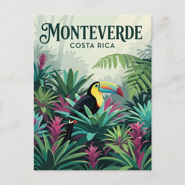 Carte Postale Forêt nuageuse de Monteverde Costa Rica (Devant)