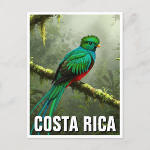 Carte Postale Forêt nuageuse de Quetzal Monteverde