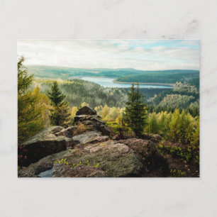 Carte Postale Forêt Ore Mountains Allemagne