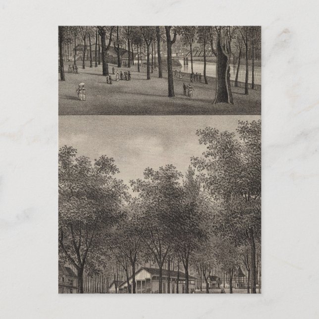 Carte Postale forêt. Parc, Ottawa, Kansas (Devant)