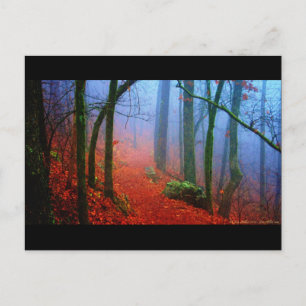 Carte Postale Forêt peinte Automne Brouillard bleu