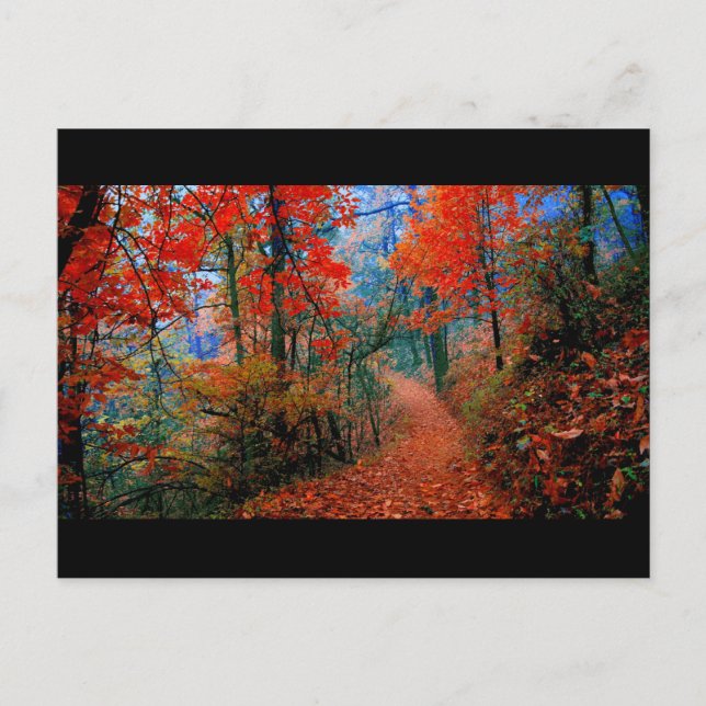 Carte Postale Forêt peinte Cadeaux aquarelle Flamme d'automne (Devant)