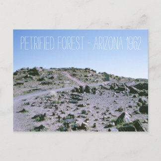 Carte Postale Forêt pétrifiée Arizona 1962