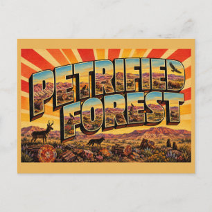 Carte Postale Forêt Pétrifiée Arizona Désert Peint Badlands