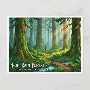 Carte Postale Forêt pluviale de Hoh Forks Washington