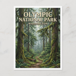 Carte Postale Forêt pluviale de Hoh Forks Washington