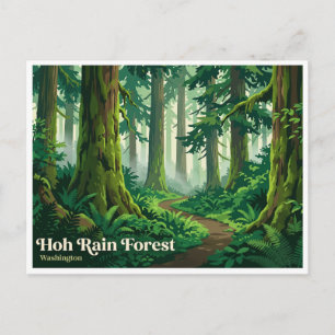 Carte Postale Forêt pluviale de Hoh Port Angeles Washington