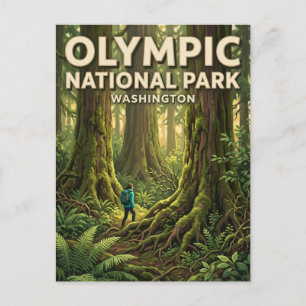 Carte Postale Forêt pluviale de Quinault Amanda Park Washington