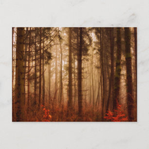Carte Postale Forêt sauvage rouge brumeux hiver sans neige