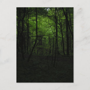 Carte Postale Forêt sombre abandonnée