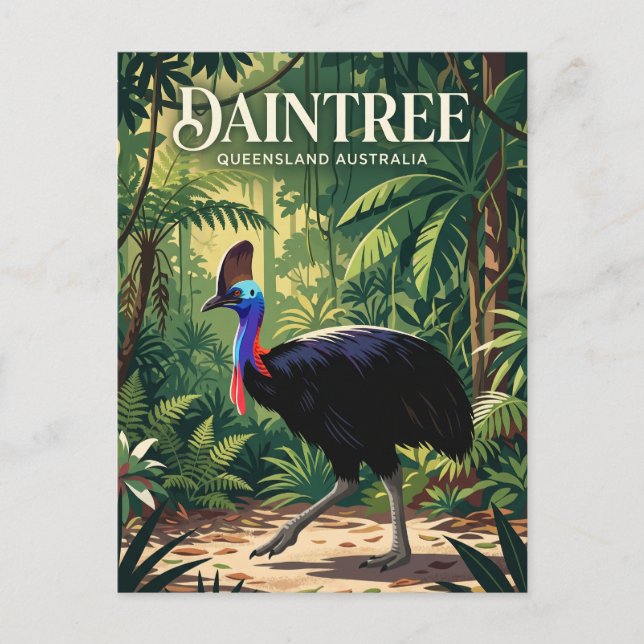 Carte Postale Forêt tropicale de Daintree Australie (Devant)