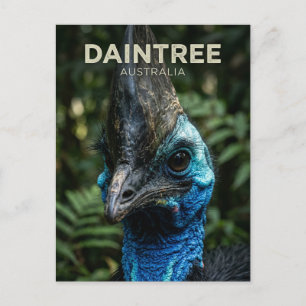 Carte Postale Forêt tropicale de Daintree en Australie