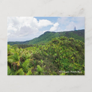 Carte Postale Forêt tropicale d'El Yunque et tour de communicati